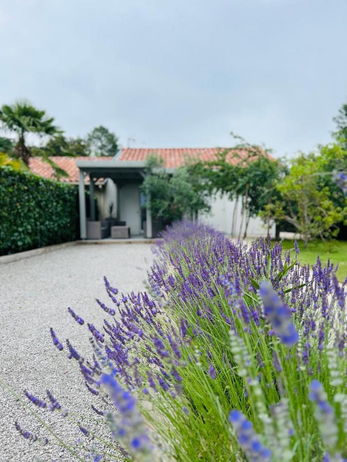 Onesse-et-Laharie O'Pintxo Bed & Breakfast エクステリア 写真